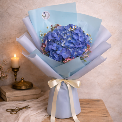 Hydrangea