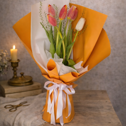 stock Tulips