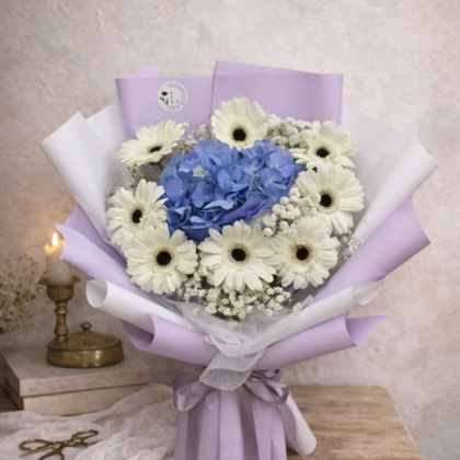 Hydrangea
